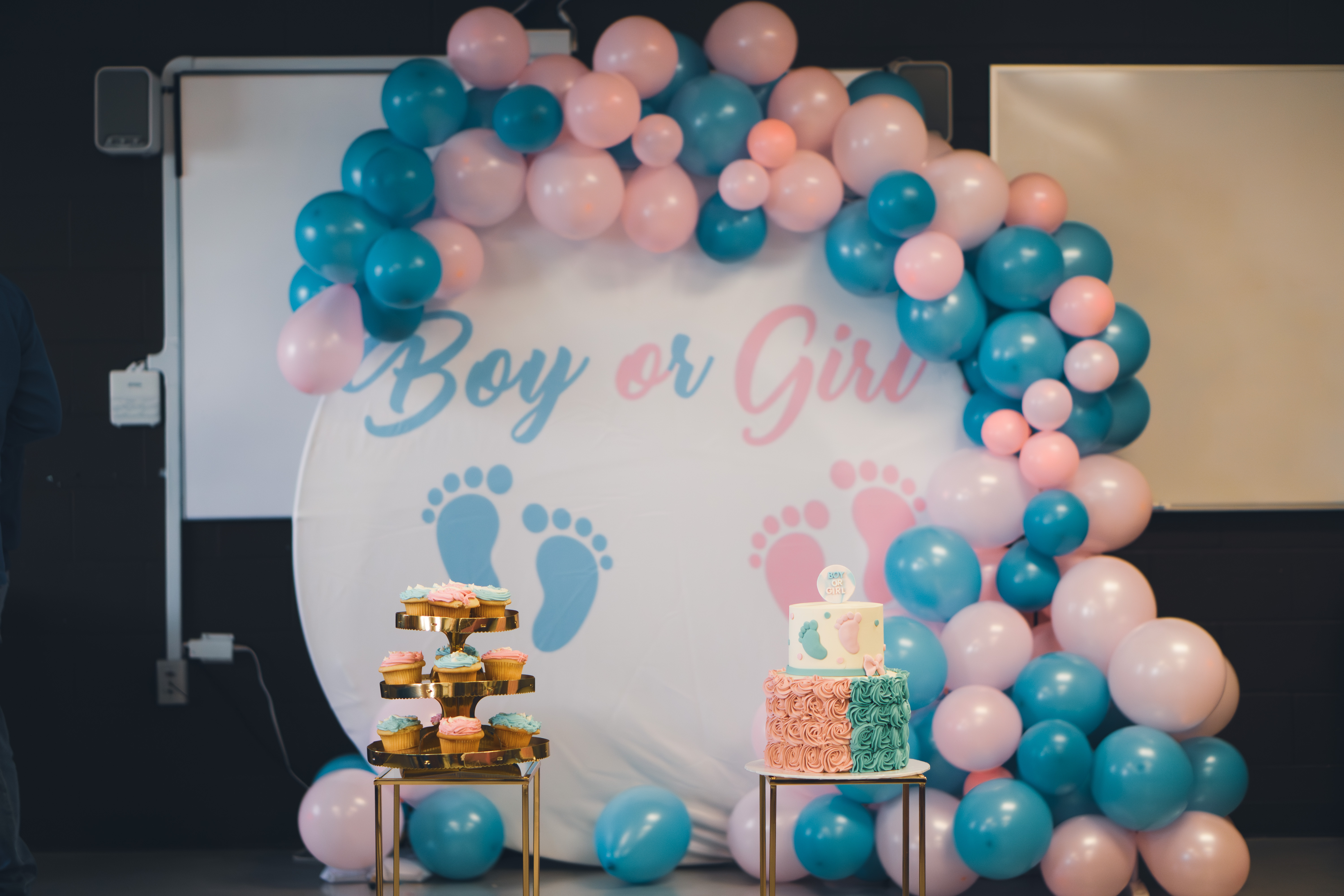 Manisha Gender Reveal Decor