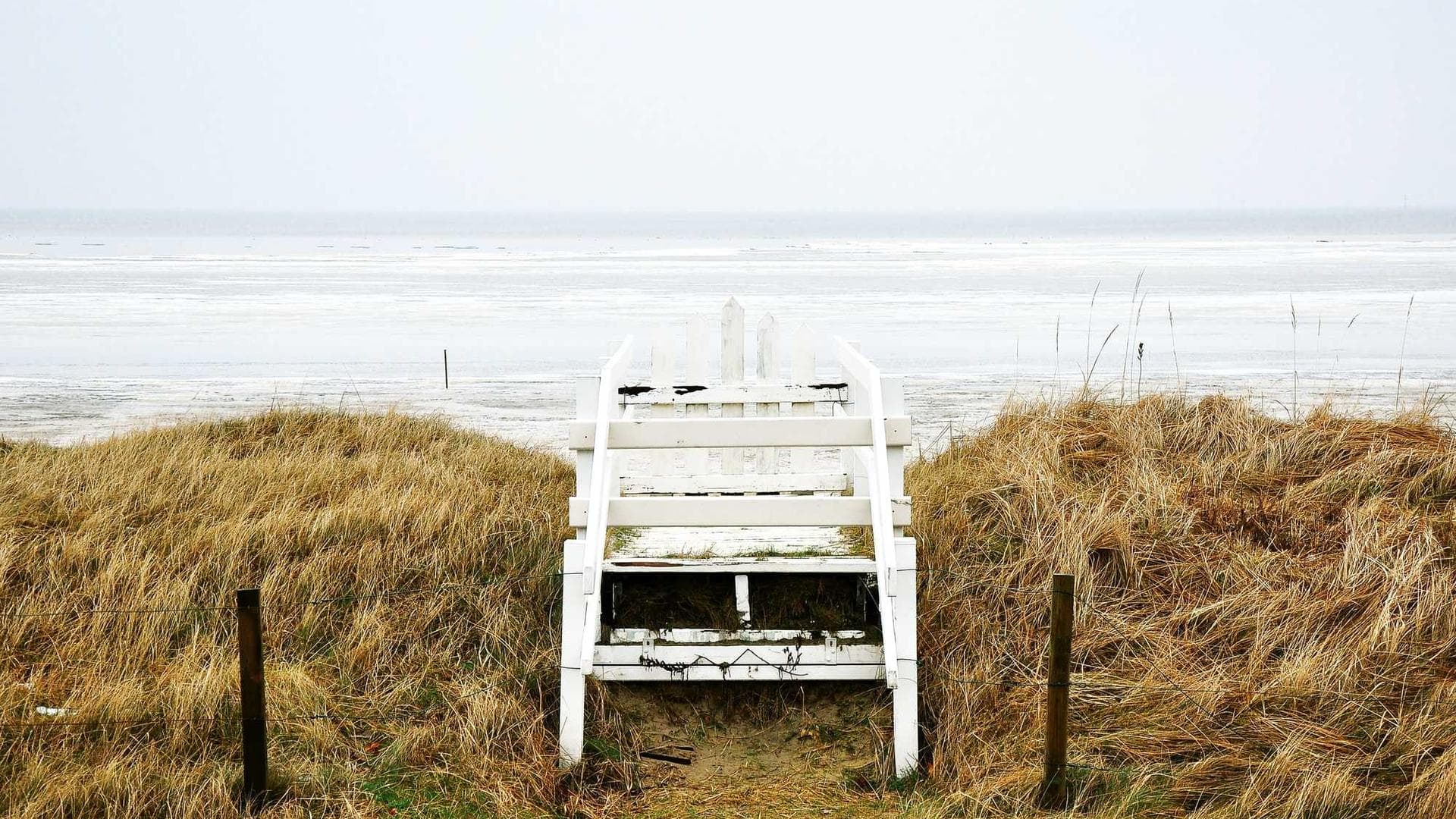 The Thrill of the Find