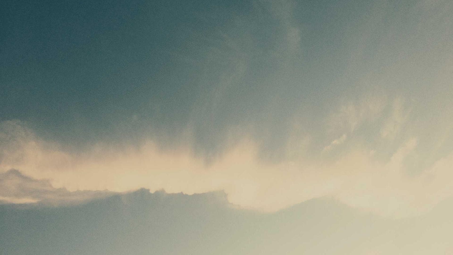 Vibrant food photography