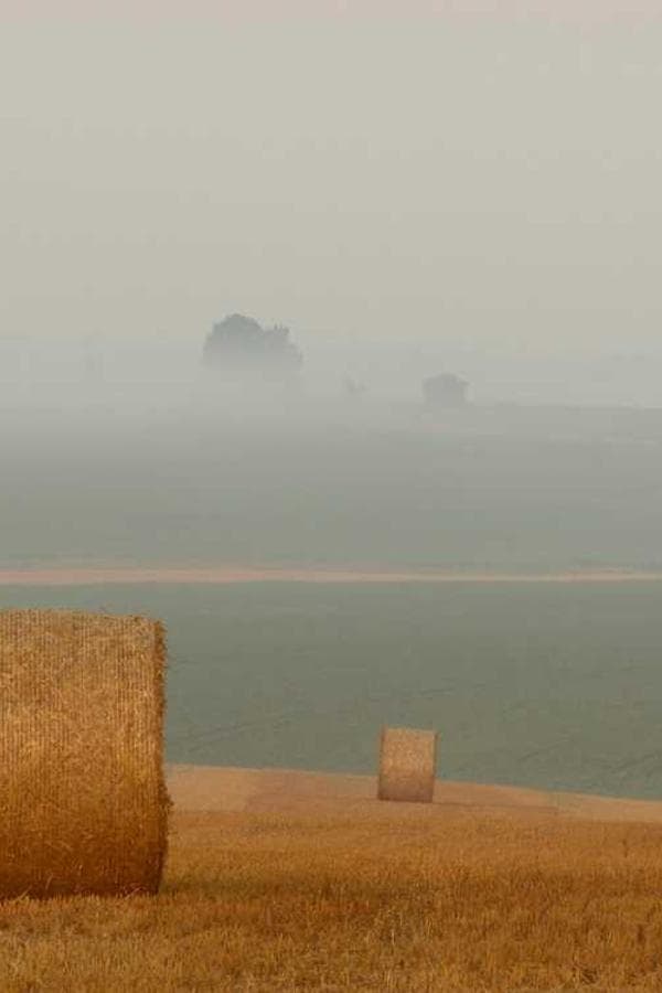 Candid street photography