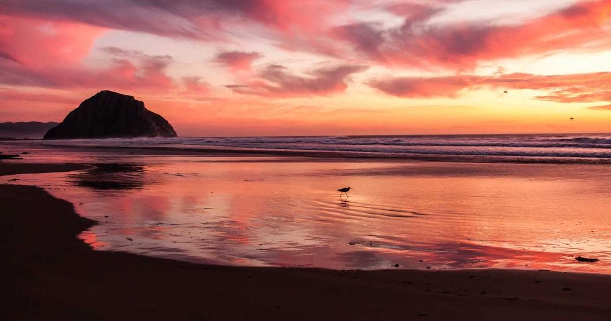 Tobermory From Windsor — A Perfect Car Trip Itinerary + Photography Guide