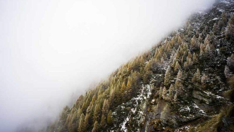 Image for WoodLyn - India Tour Guide & Adventure Companion